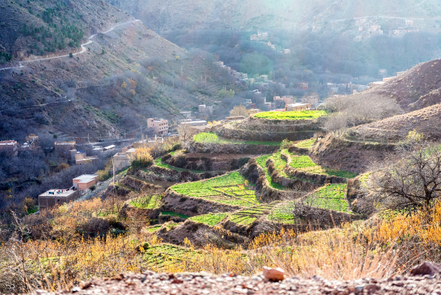 1 DAY DISCOVERY / BERBER VILLAGES  from 9 a.m. to 8 p.m. (depending on the seasons)