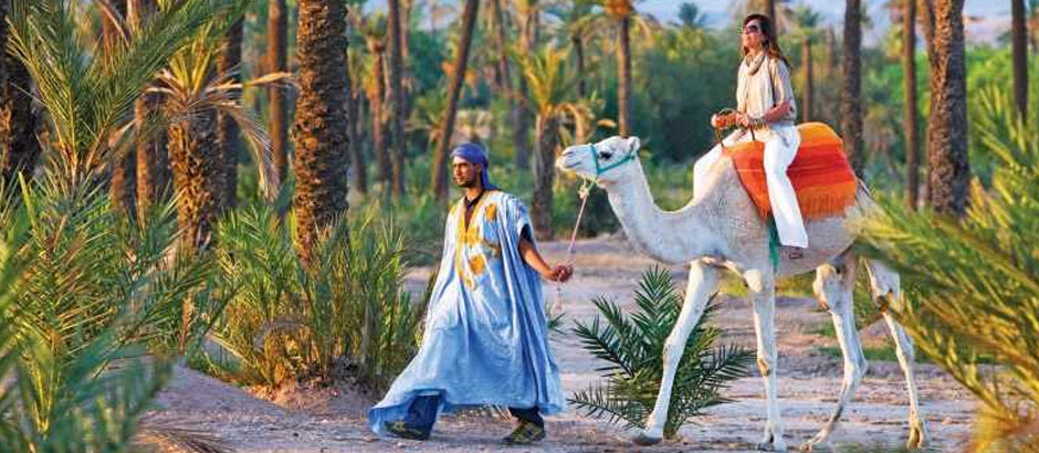 BALADE A DOS DE DROMADAIRE Départ entre 9h et 17h      CAMEL RIDE Departure between 9am and 5pm