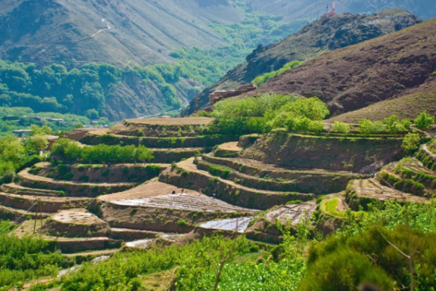 1 DAY DISCOVERY / BERBER VILLAGES  from 9 a.m. to 8 p.m. (depending on the seasons)
