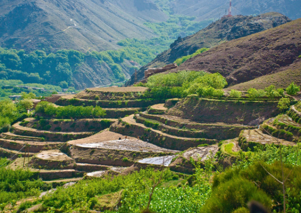 1 DAY DISCOVERY / BERBER VILLAGES  from 9 a.m. to 8 p.m. (depending on the seasons)